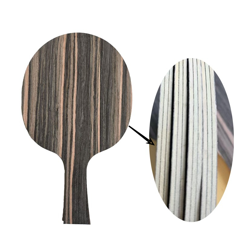 Raket Tenis Meja DIY FL/CS, Ba - Table Tennis Basic ulasan dan harga