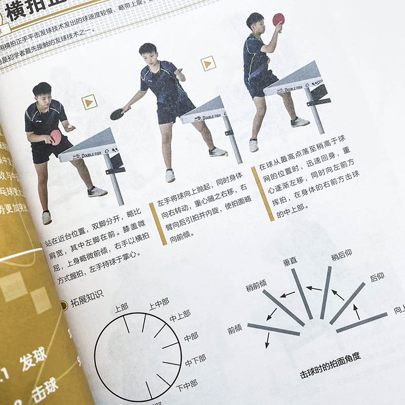 Dasar-Dasar Tenis Meja: Teknik - Table Tennis Illustration ulasan dan harga